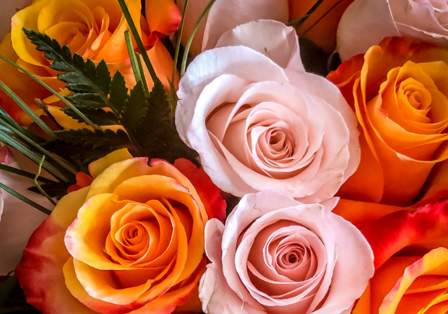 大切なあの人に日頃の感謝を伝えるきっかけを