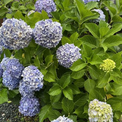 まだ間に合う！今月の空き状況☆