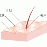 美肌シリーズ8【美肌の条件は○○！】