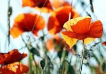 『心美体コンディショニングサロン』とは？