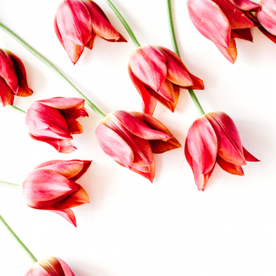 “オールハンドの技術”へのこだわり