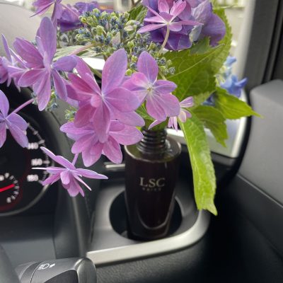 LSCに咲く花〜６月〜