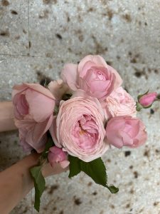 IMG_0846