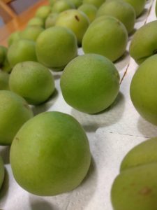 line_oa_chat_250609_165727