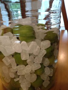 line_oa_chat_250609_165730