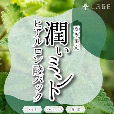 大人気ミントパック始まりました！