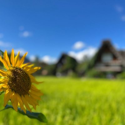 小腹と薬膳とワタシ:薬膳編/この時期の過ごし方・その３