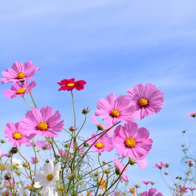 10月の手紙
