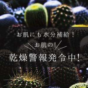 【L】乾燥警報-サボテン2