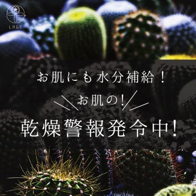 11月の肌は乾燥&肌荒れケア