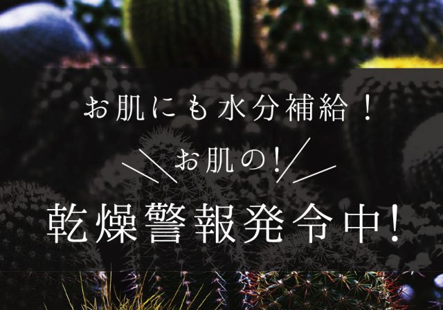 11月の肌は乾燥＆肌荒れケア