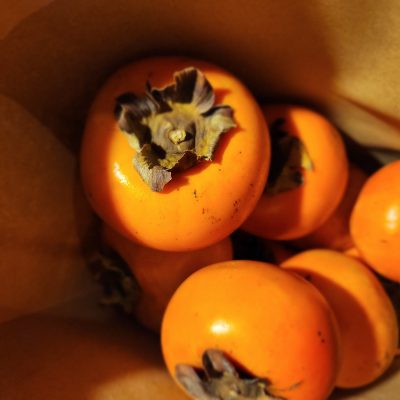 季節のおもてなし＊秋