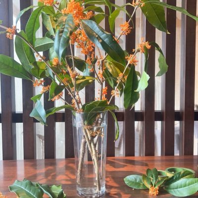 季節によって変わる店内の香り