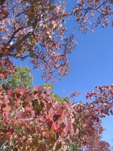 line_oa_chat_251128_170759