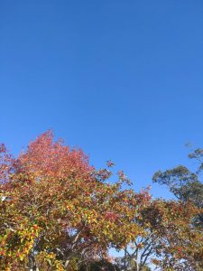 line_oa_chat_251128_170802