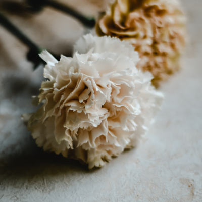 『 キレイは”足”から始まる 』