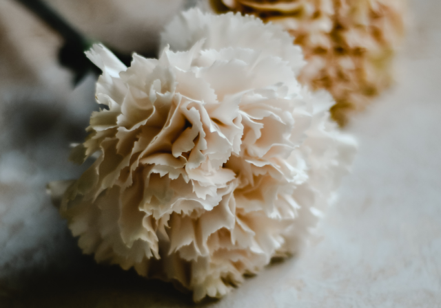 『　キレイは”足”から始まる　』