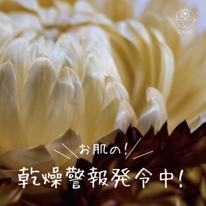 【L】乾燥警報-ドライフラワー