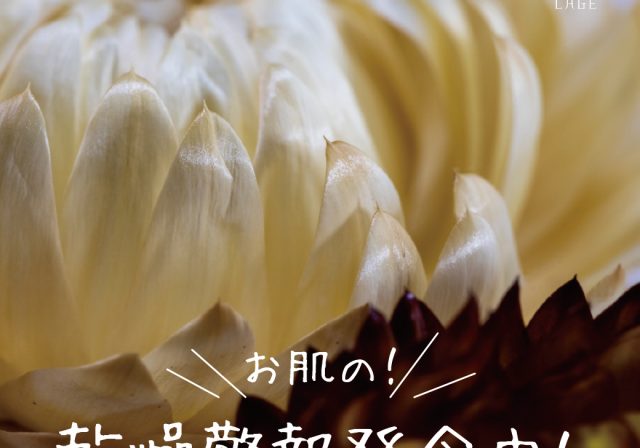 この冬の美肌ケアは「蒸しタオル」→「クレンジング」