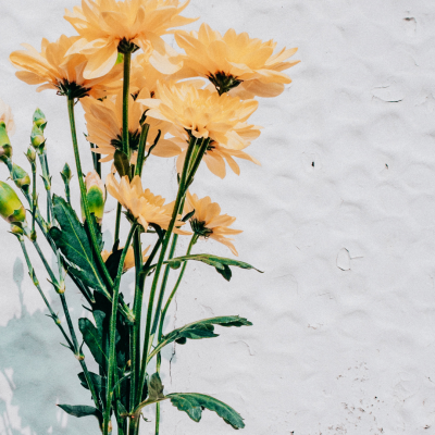 いつの日も、心に少しのゆとりを♪