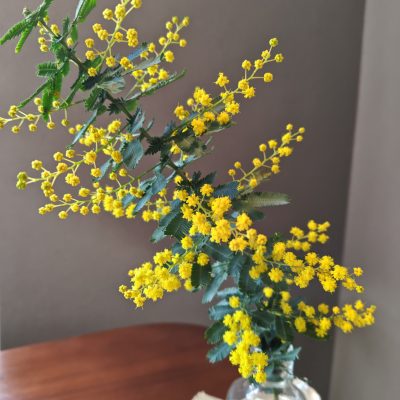 小豆餅店に春がやってきました