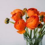 【人気NO.1☆小顔&二の腕 上半身痩美ラインケア 】