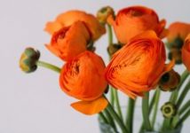 【人気NO.1☆小顔＆二の腕　上半身痩美ラインケア 】