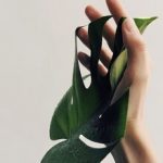 【　オールハンドの魅力　】