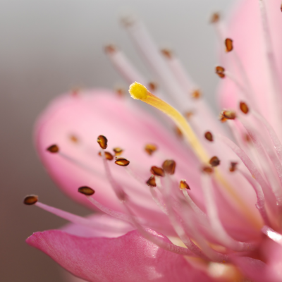 今の時期におすすめのメニュー