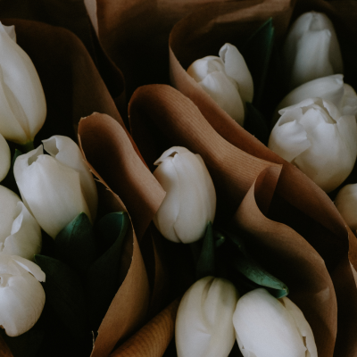 大切にしている“コンセプト”への想い