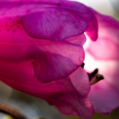 『一生通えるサロン』とは？  　