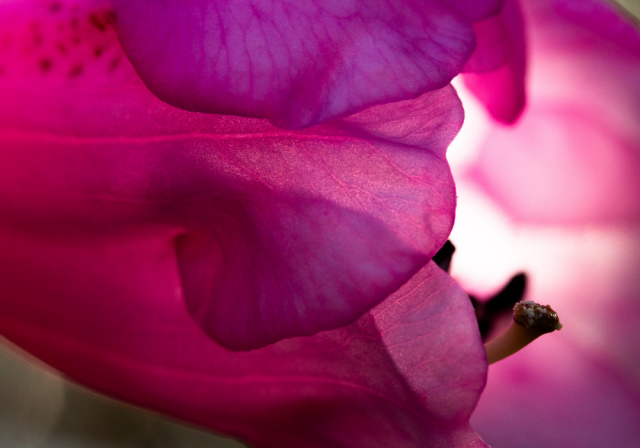 『一生通えるサロン』とは？  　