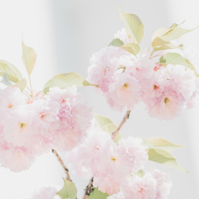 『心美体コンディショニングサロン』とは？